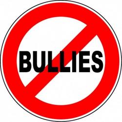 “Anti-Bullying” Campaign